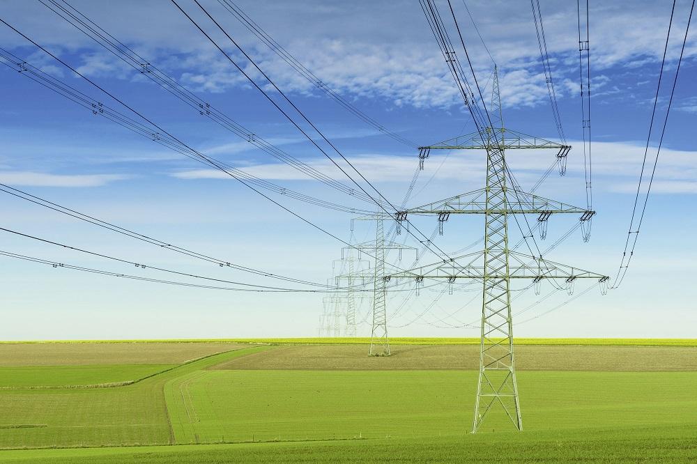 Figure : Johannes Plenio/unsplash