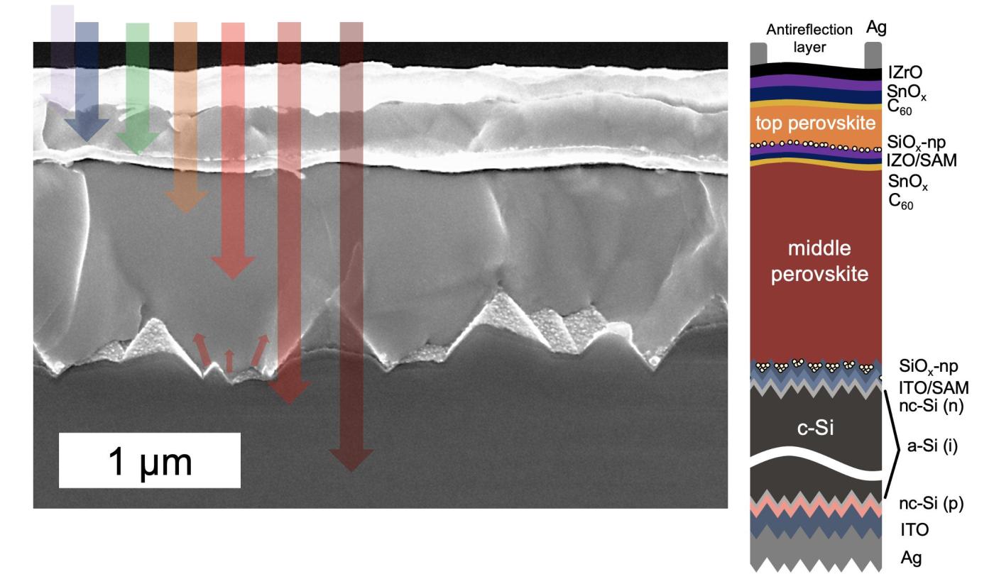 Composition de la cellule solaire à triple jonction: deux cellules à pérovskite en couches minces (étiquettes orange et rouge) et une cellule en silicium (gris foncé). Les matériaux de chaque couche sont indiqués sur la droite. Les flèches sur l’image de microscopie électronique à balayage montrent les différentes longueurs d’onde de la lumière absorbées par chaque cellule constituant l’ensemble.
