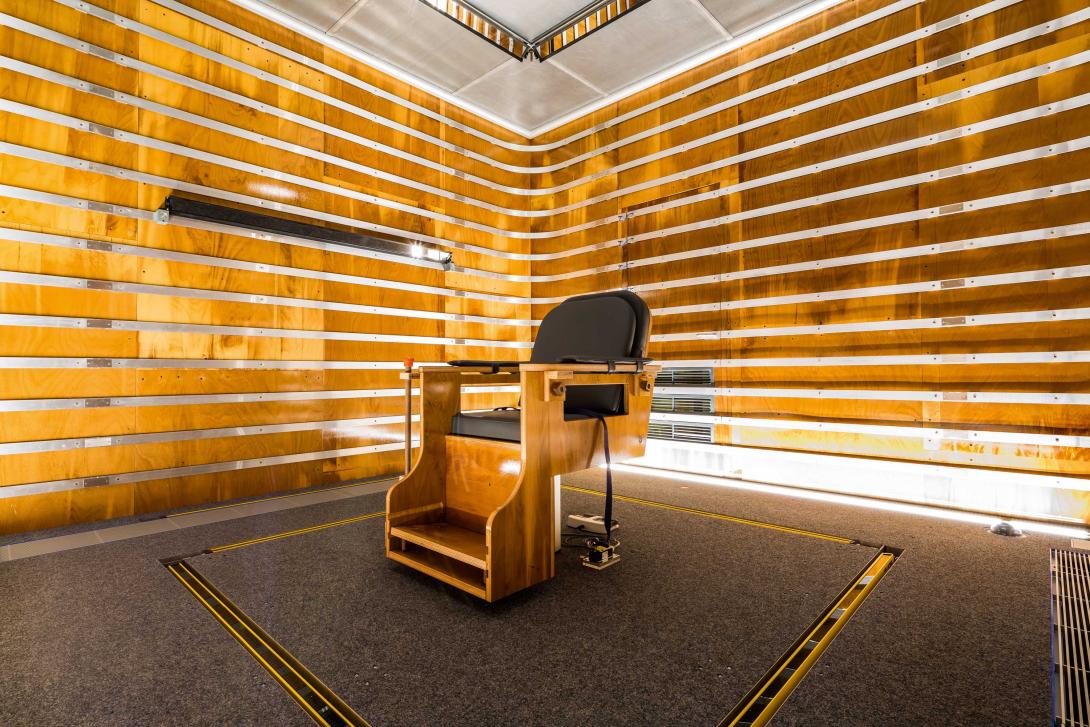 Perception consciente des champs électriques