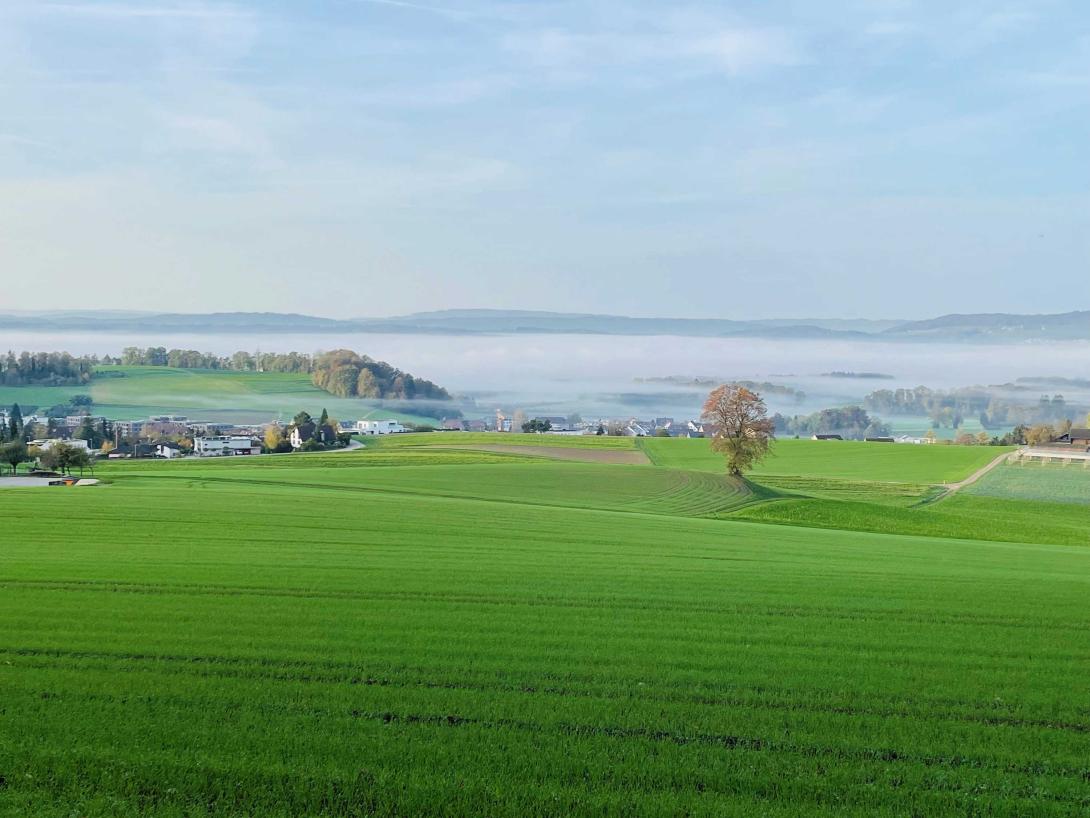 Créer des incitations pour soulager le réseau